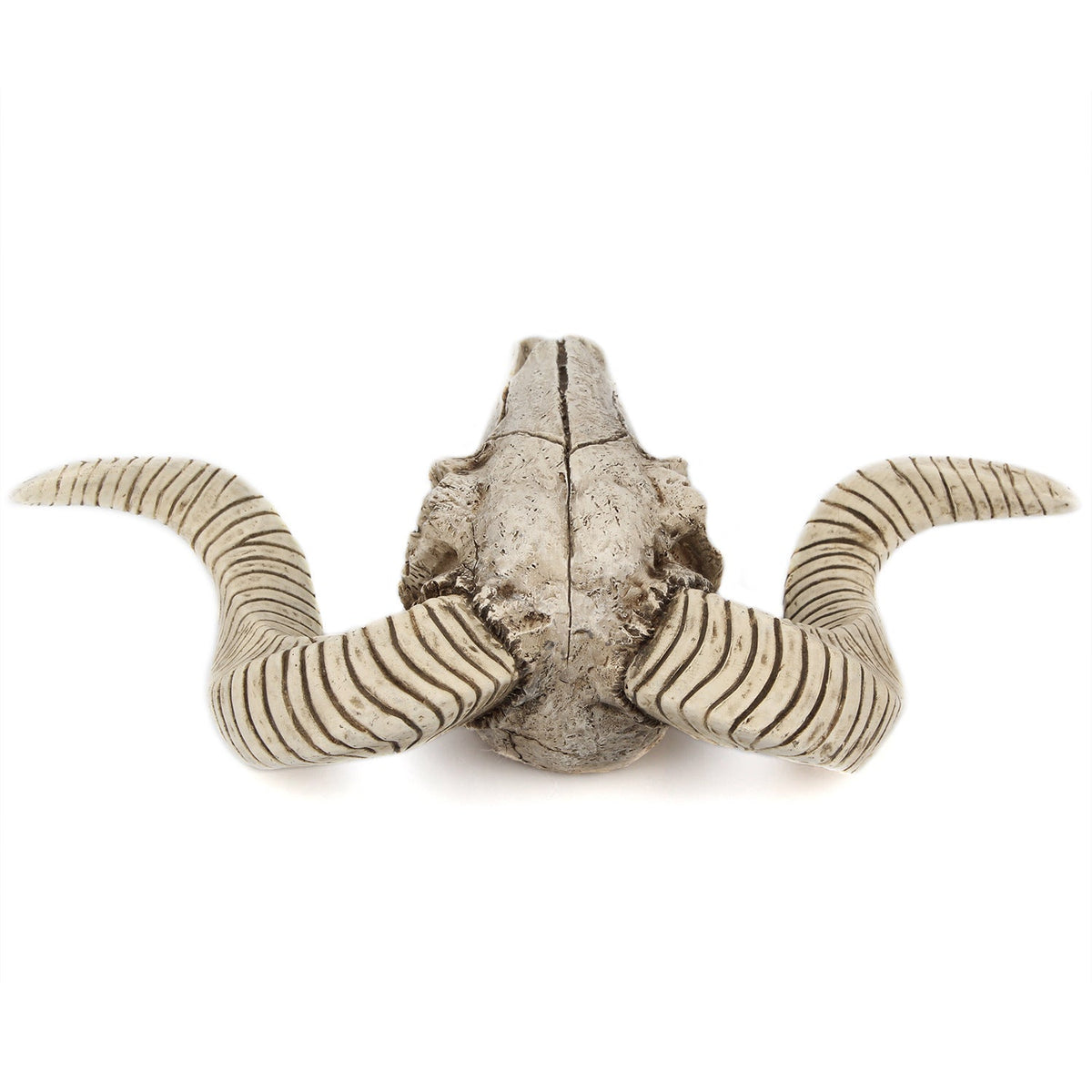 Resin Ram Skull Wall Decor