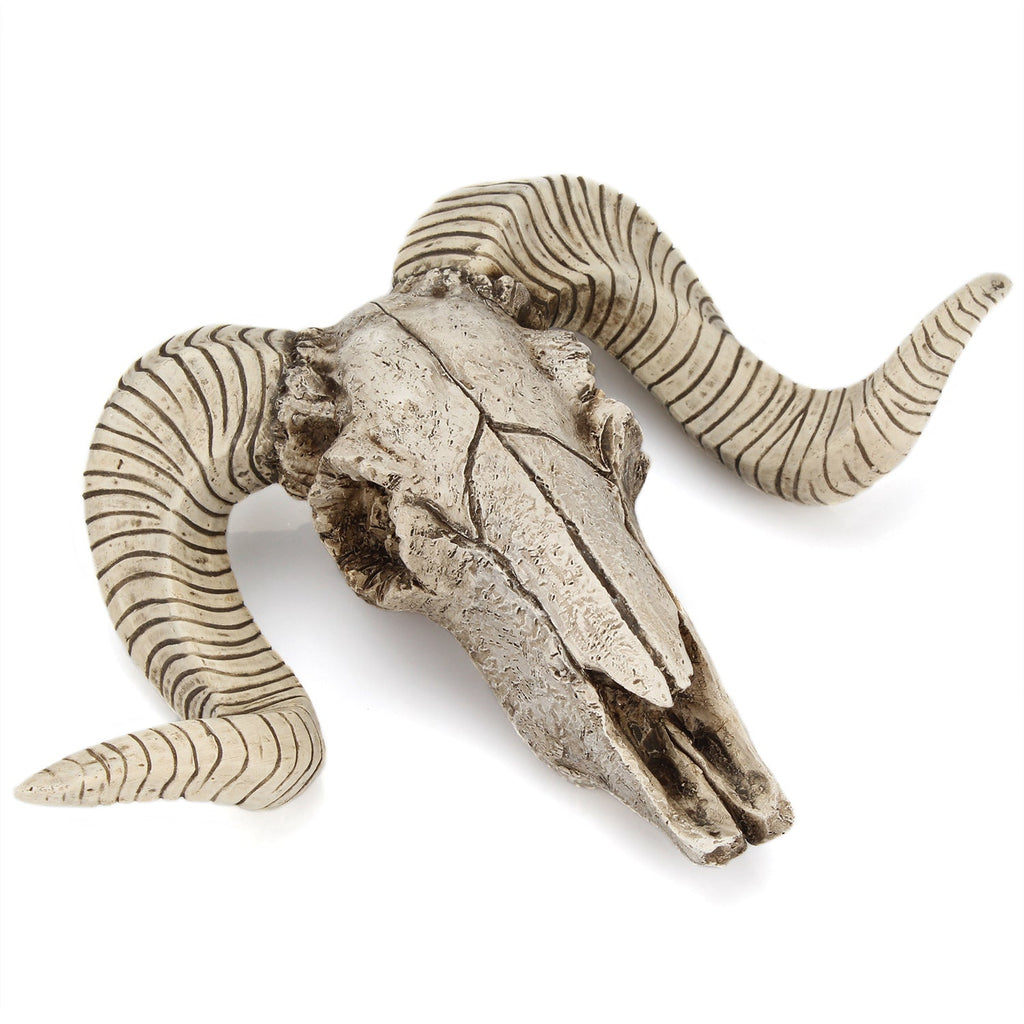 Resin Ram Skull Wall Decor