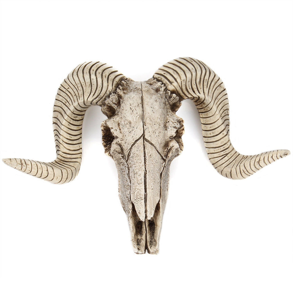 Resin Ram Skull Wall Decor