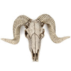 Resin Ram Skull Wall Decor