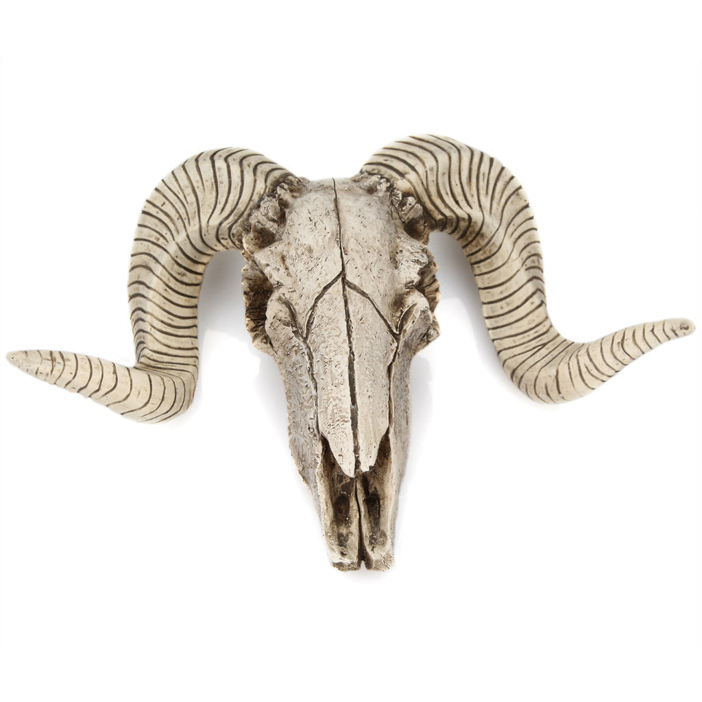 Resin Ram Skull Wall Decor