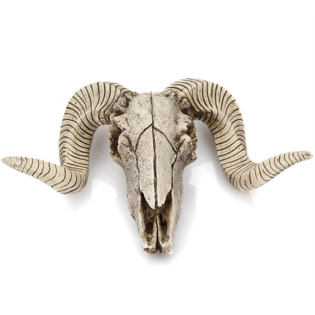 Resin Ram Skull Wall Decor
