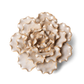 Ceramic Flower Wall Art Lettuce Pearl 6: Sea Lettuce Large Pearl