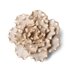Ceramic Flower Wall Art Lettuce Pearl 6: Sea Lettuce Large Pearl