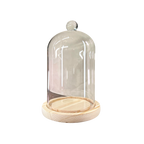Cloche Glass Bell